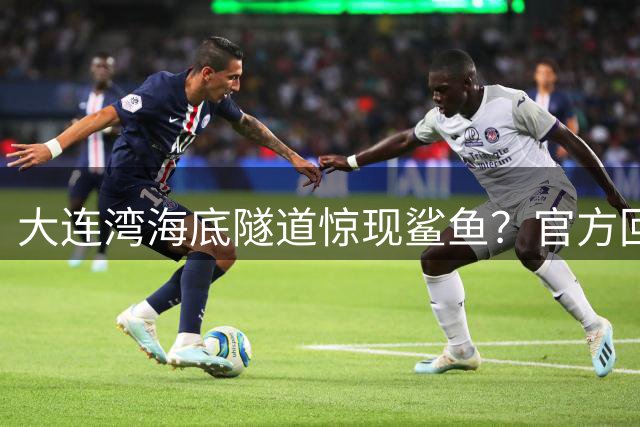 大连湾海底隧道惊现鲨鱼？官方回应：纯属虚构